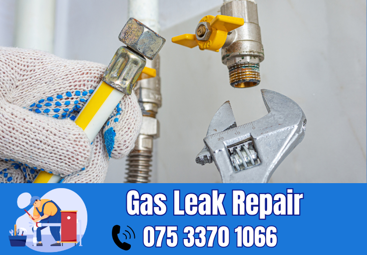 gas leak repair Strood