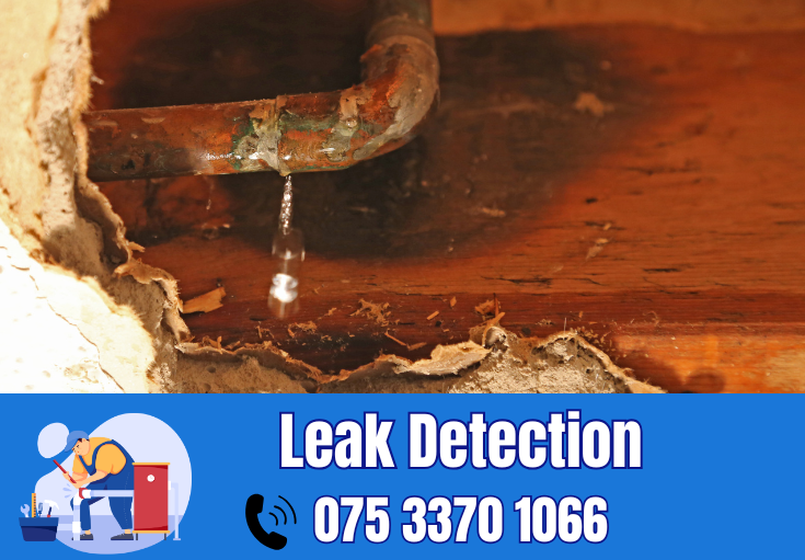 leak detection Strood