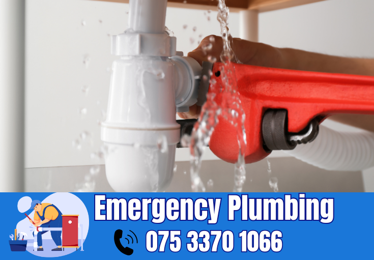  plumber Frindsbury
